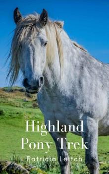 Highland Pony Trek