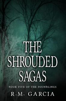 The Shrouded Sagas: Book Five of the Urban Fantasy Paranormal Vampire Series, the Foundlings