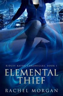 Elemental Thief (Ridley Kayne Chronicles Book 1)