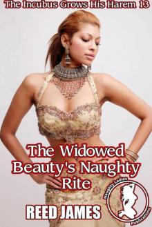 The Widowed Beauty's Naughty Rite (The Incubus Grows His Harem 13)