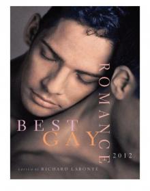 Best Gay Romance 2012