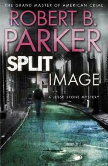 Split Image js-9 Split Image js-9