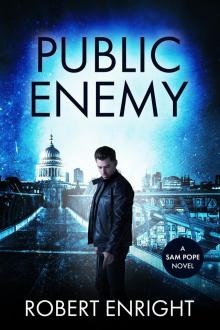 Public Enemy (Sam Pope Series Book 14)