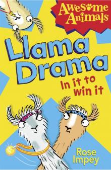 Llama Drama Llama Drama
