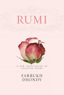 Rumi Rumi