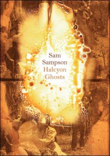 Halcyon Ghosts Halcyon Ghosts