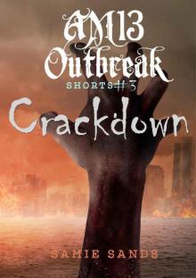 AM13 Outbreak Shorts (Book 3): Crackdown