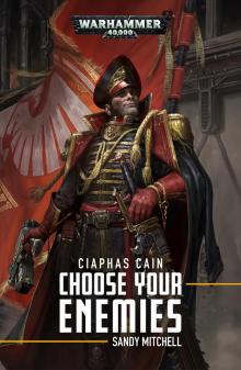 Choose Your Enemies