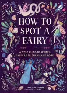 How to Spot a Fairy