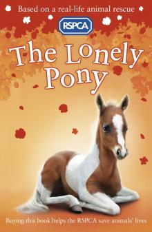 The Lonely Pony The Lonely Pony