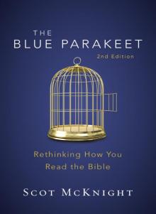 The Blue Parakeet, 2nd