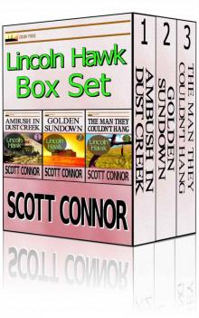 Lincoln Hawk Series 1-3 Omnibus Lincoln Hawk Series 1-3 Omnibus