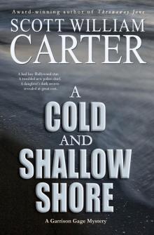 A Cold and Shallow Shore A Cold and Shallow Shore