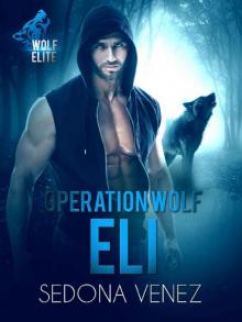 Operation Wolf: Eli (Wolf Elite Book 2) Operation Wolf: Eli (Wolf Elite Book 2)