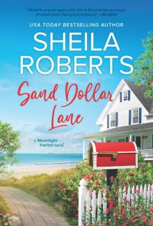 Sand Dollar Lane Sand Dollar Lane