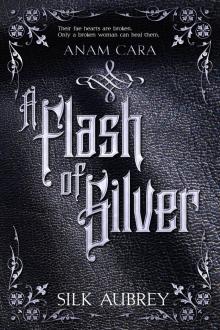 A Flash of Silver: A slow burn sci fi fantasy reverse harem series A Flash of Silver: A slow burn sci fi fantasy reverse harem series
