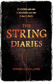 The String Diaries The String Diaries