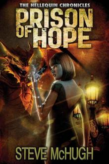 Hellequin Chronicles 4: Prison of Hope