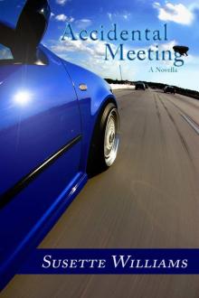 Accidental Meeting