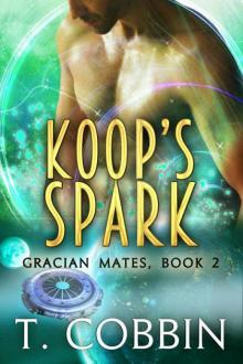 Koop's Spark Koop's Spark