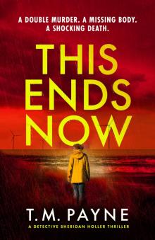 This Ends Now (Detective Sheridan Holler)