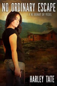No Ordinary Day | Prequel | No Ordinary Escape