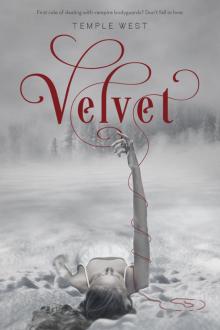 Velvet Velvet
