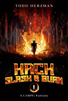 Hack, Slash & Burn 1: A LitRPG Fantasy