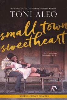 Small-Town Sweetheart (The Spring Grove Series Book 2)