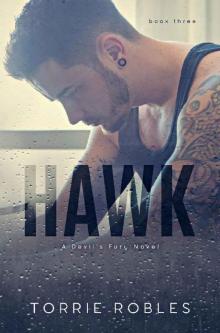 Hawk_Devil's Fury Book 3