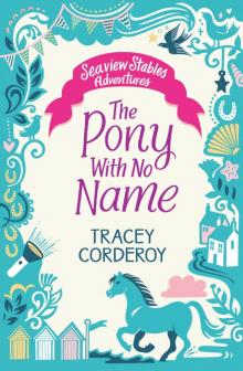 The Pony With No Name