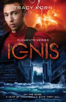 IGNIS (The Elements Series Book 4)