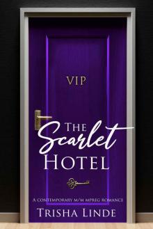 VIP: a contemporary m/m mpreg romance (The Scarlet Hotel)
