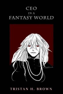 CEO in a Fantasy World 1