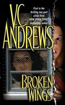 Broken Wings Broken Wings