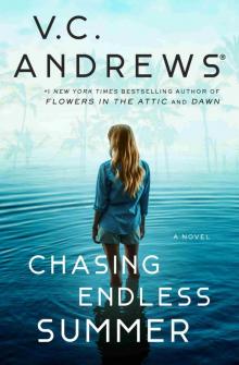 Chasing Endless Summer Chasing Endless Summer