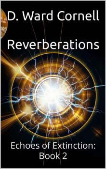 Reverberations Reverberations