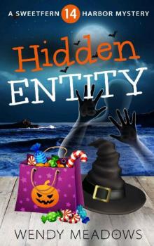 Hidden Entity Hidden Entity