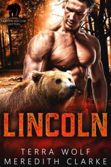 Lincoln (Canyon Hollow Shifters