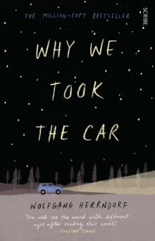 Why We Took the Car